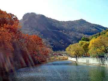 管家婆黑白马报图库，潲水油提炼设备